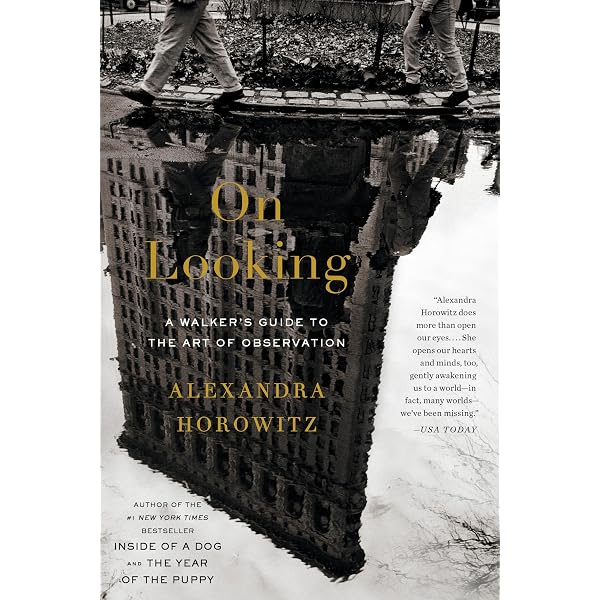 Amazon | Hamish Fulton: Walking Journey | McKibben, Bill, Tufnell